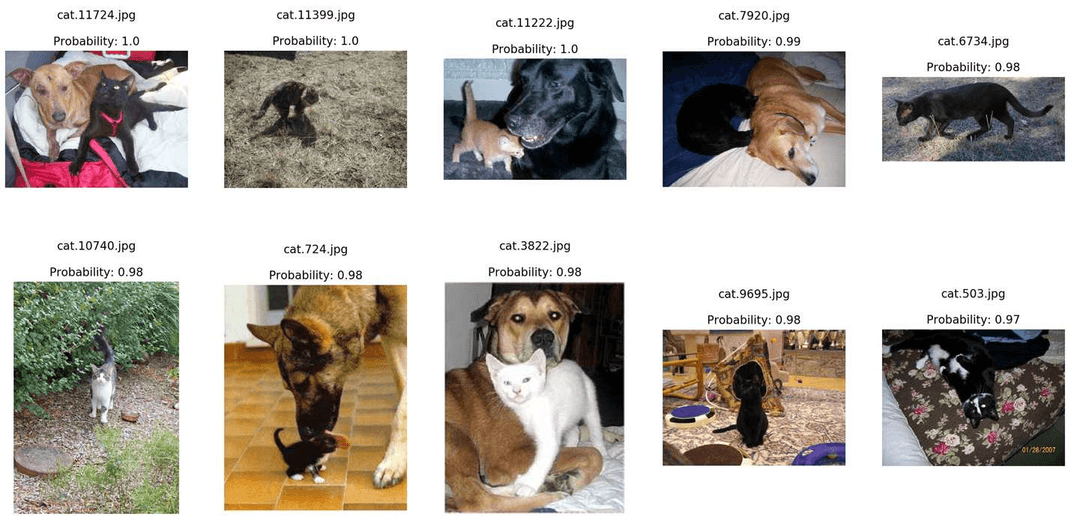 Cães x Gatos : Classificação de imagens 